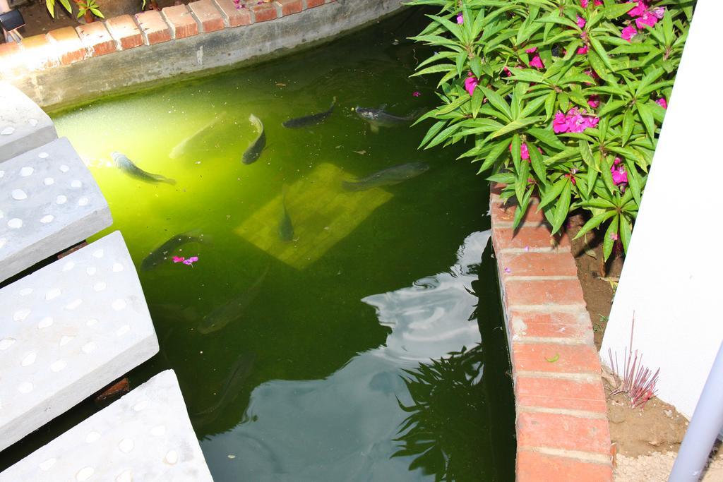 Countryside Garden Homestay Hoi An Exterior photo