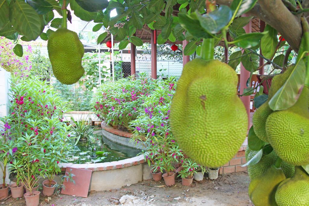 Countryside Garden Homestay Hoi An Exterior photo